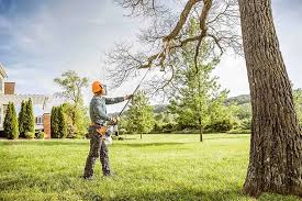 Best Commercial Tree Services  in West Yellowstone, MT